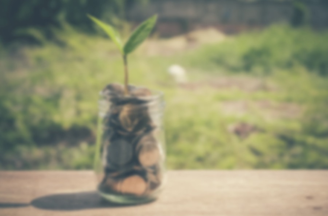 Fördermittel-Suche bei Musterfirma in Musterstadt